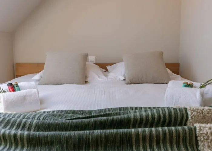 Lejlighed Huswell - Centrally Located With Sunny Terrace Oostende