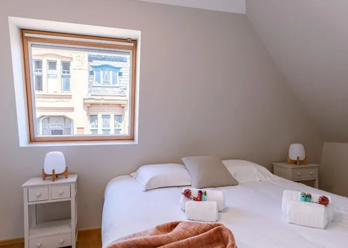 Huswell - Centrally Located With Sunny Terrace Apartman Ostende